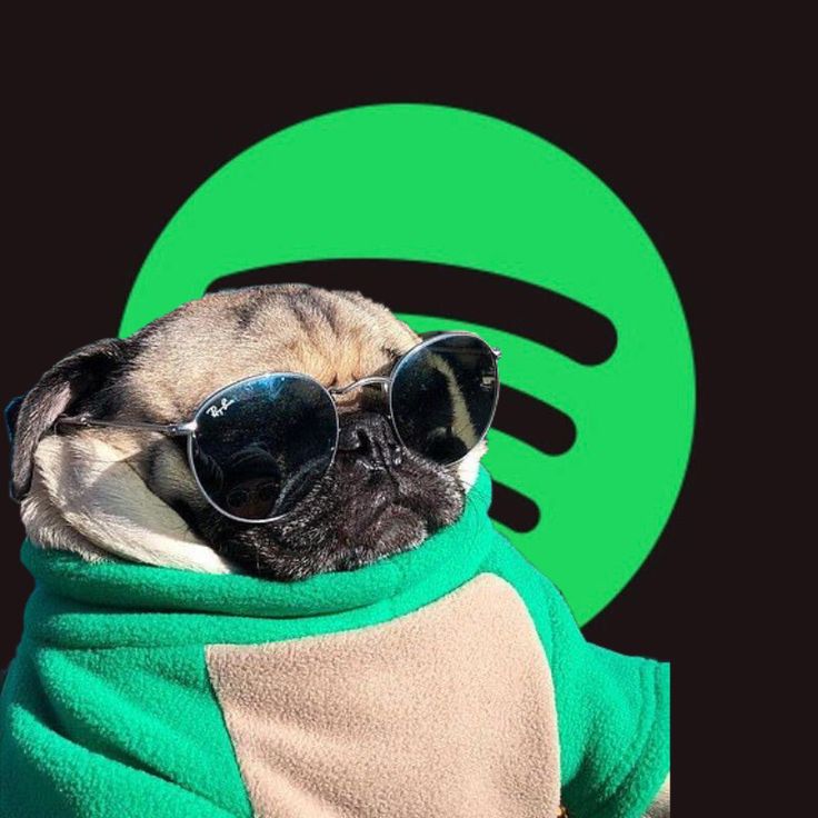 Spotify controller interface